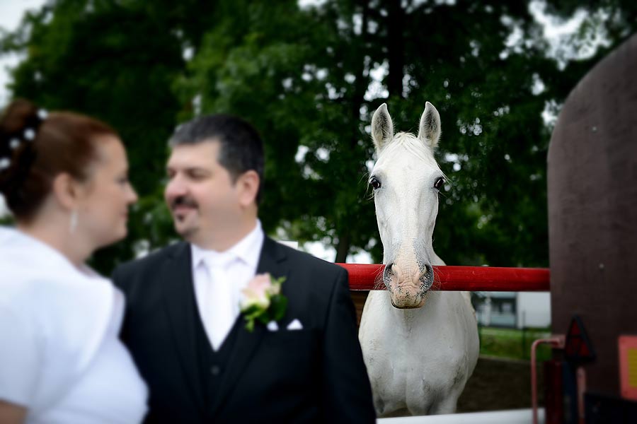 svadobný fotograf